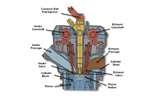 Diesel Engines Engineering Images