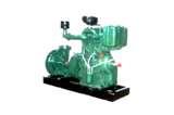 Diesel Engine Agriculture Irrigation