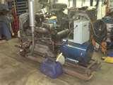 Pictures of Isuzu Diesel Engine D201
