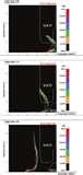 Diesel Engine Equivalence Ratio Diesel Engine Equivalence Ratio