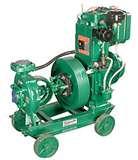 Pictures of Diesel Engine Governing System