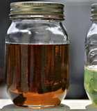Can A Diesel Engine Run On Vegetable Oil Images Can A Diesel Engine Run On Vegetable Oil Images