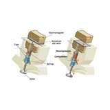 Photos of Diesel Engine Wear  Tear