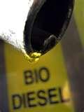 Diesel Engine Biodiesel Images