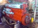Photos of Diesel Engine Yanmar Sale