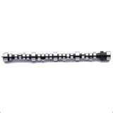 Photos of Diesel Engines Belts