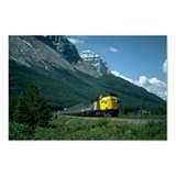 Pictures of Diesel Engine Slogan