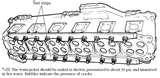 Images of Diesel Engine Cylinder Pressure