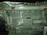 Diesel Engines Dt Pictures