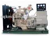 Pictures of Chinese Diesel Engine